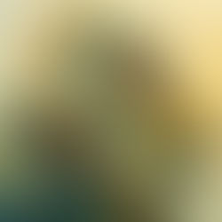 Then Abraham Got Up!