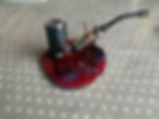 alfIMG_5194