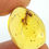 Thumbnail: Dominican Amber with insect held by two fingers