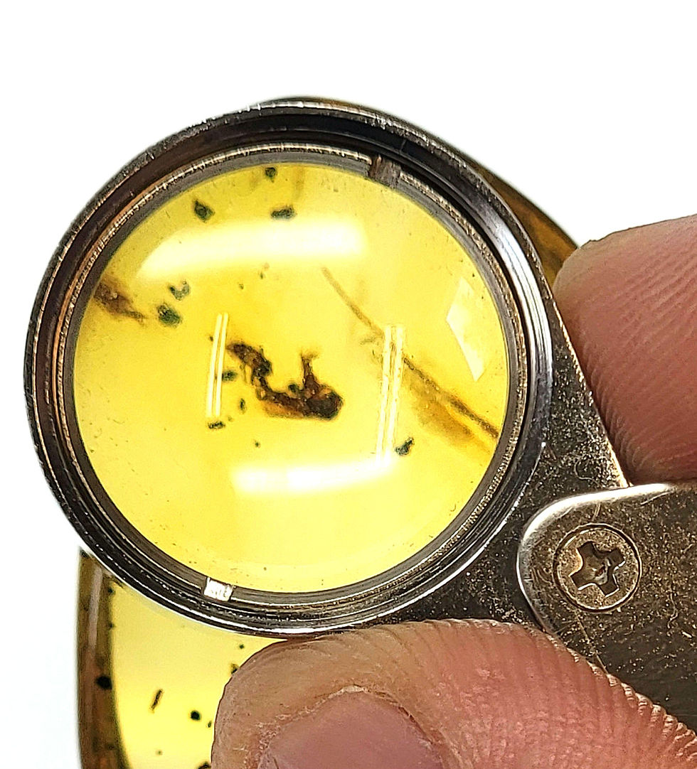 Thumbnail: small moth and spider legs in Dominican Amber viewed through jewelers loupe