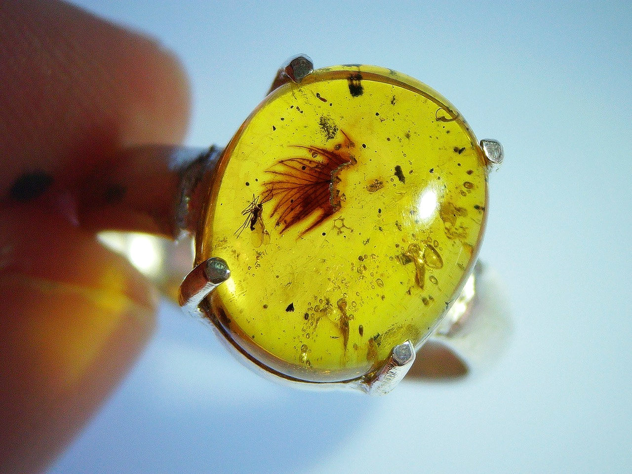 red feather in amber silver ring