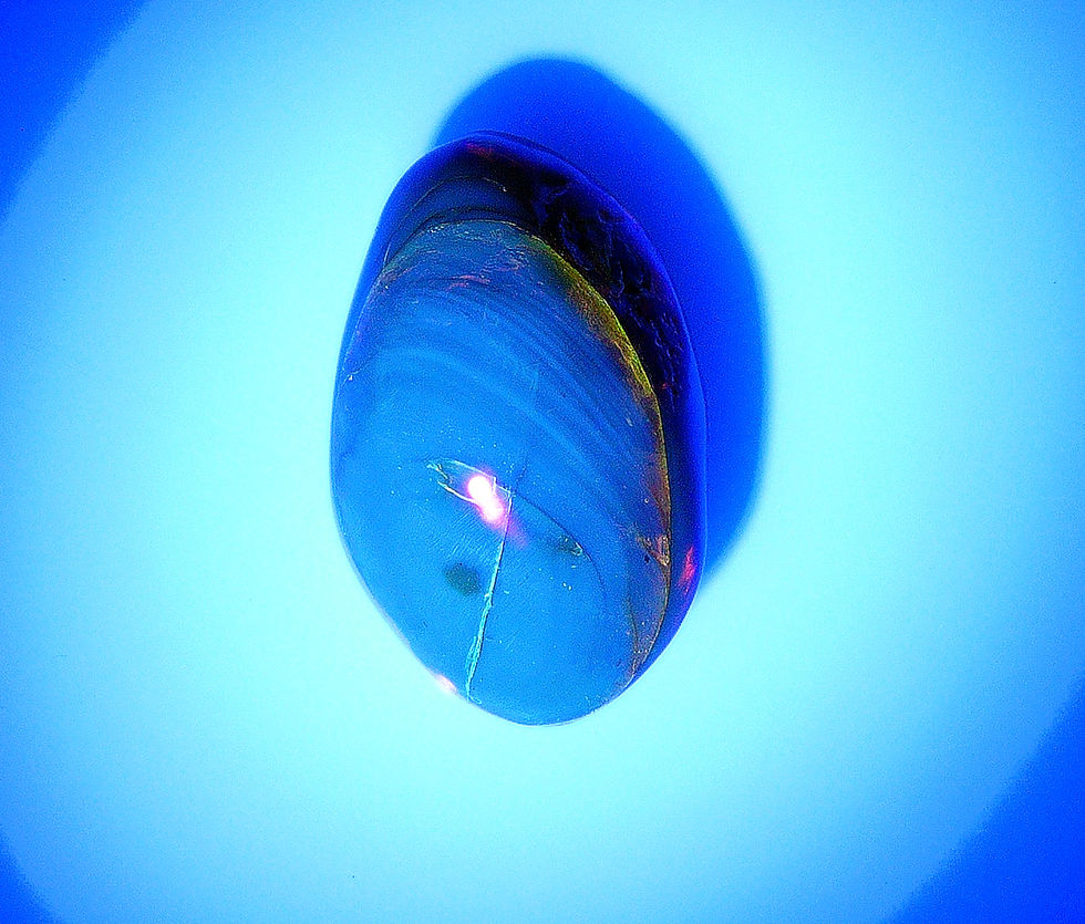 Thumbnail: Dominican Amber with clear beetle inclusion under a UV light