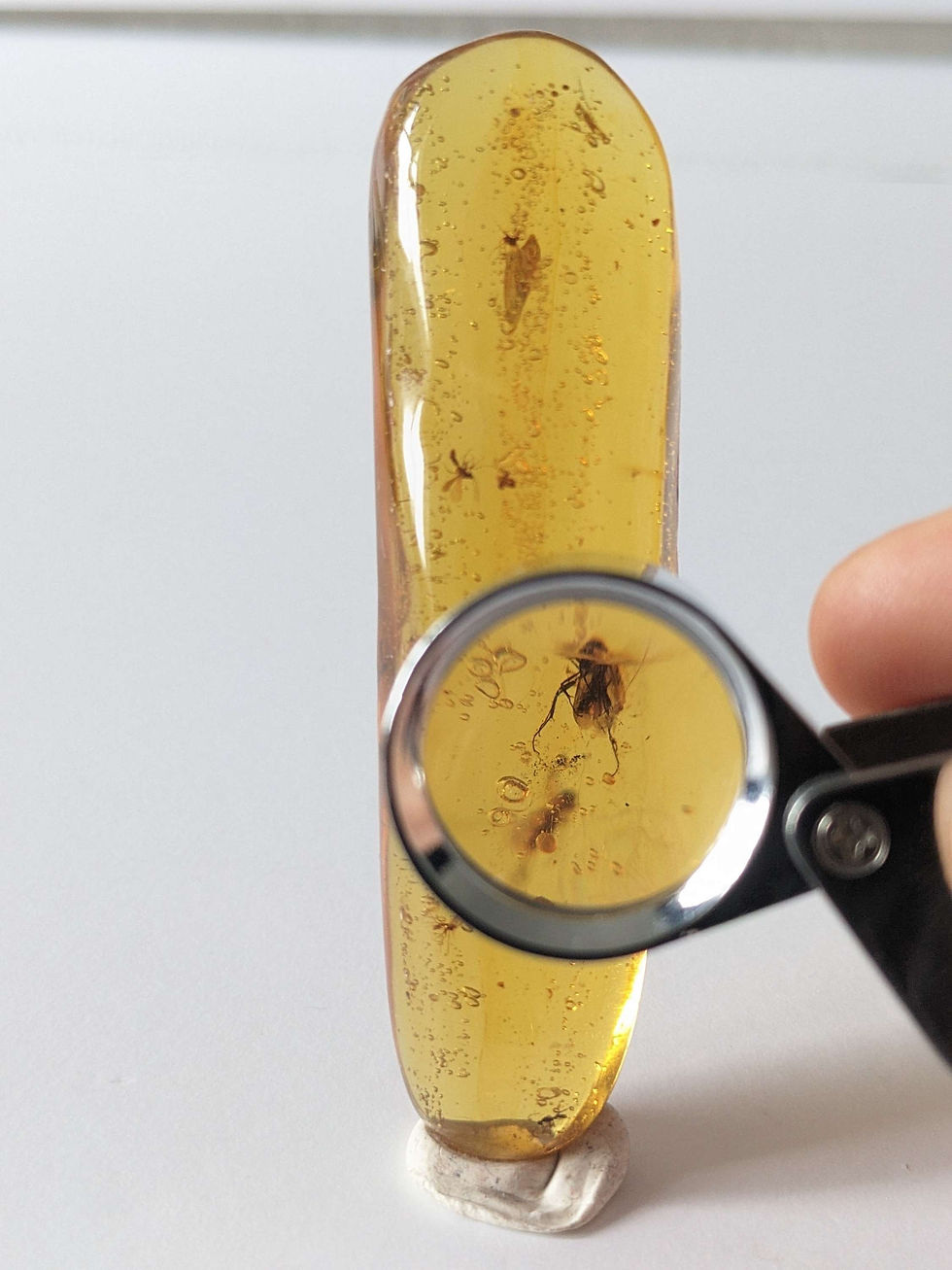 Thumbnail: Amber With Insects #247 • Two Wasps And 10+ Mosquitos