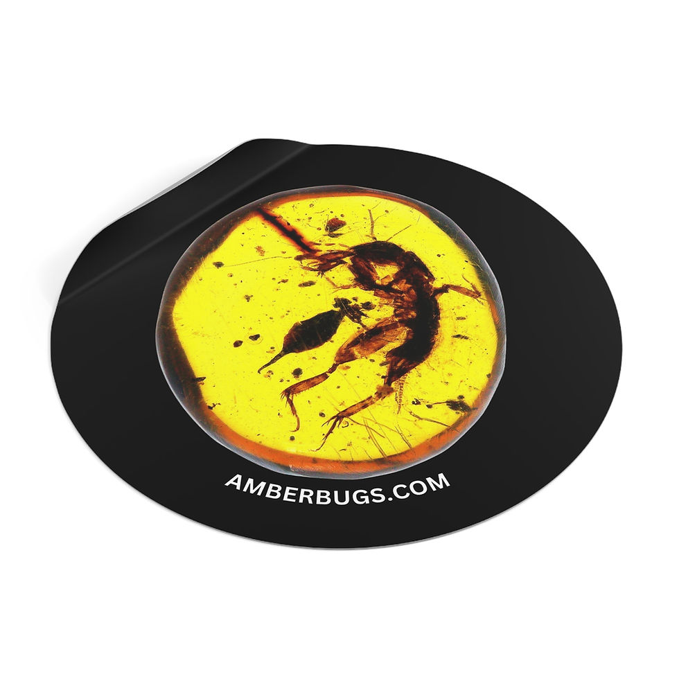 Thumbnail: Amber Bugs Round Vinyl Sticker
