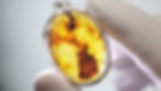 Burmese Amber pendant with leaf inclusion
