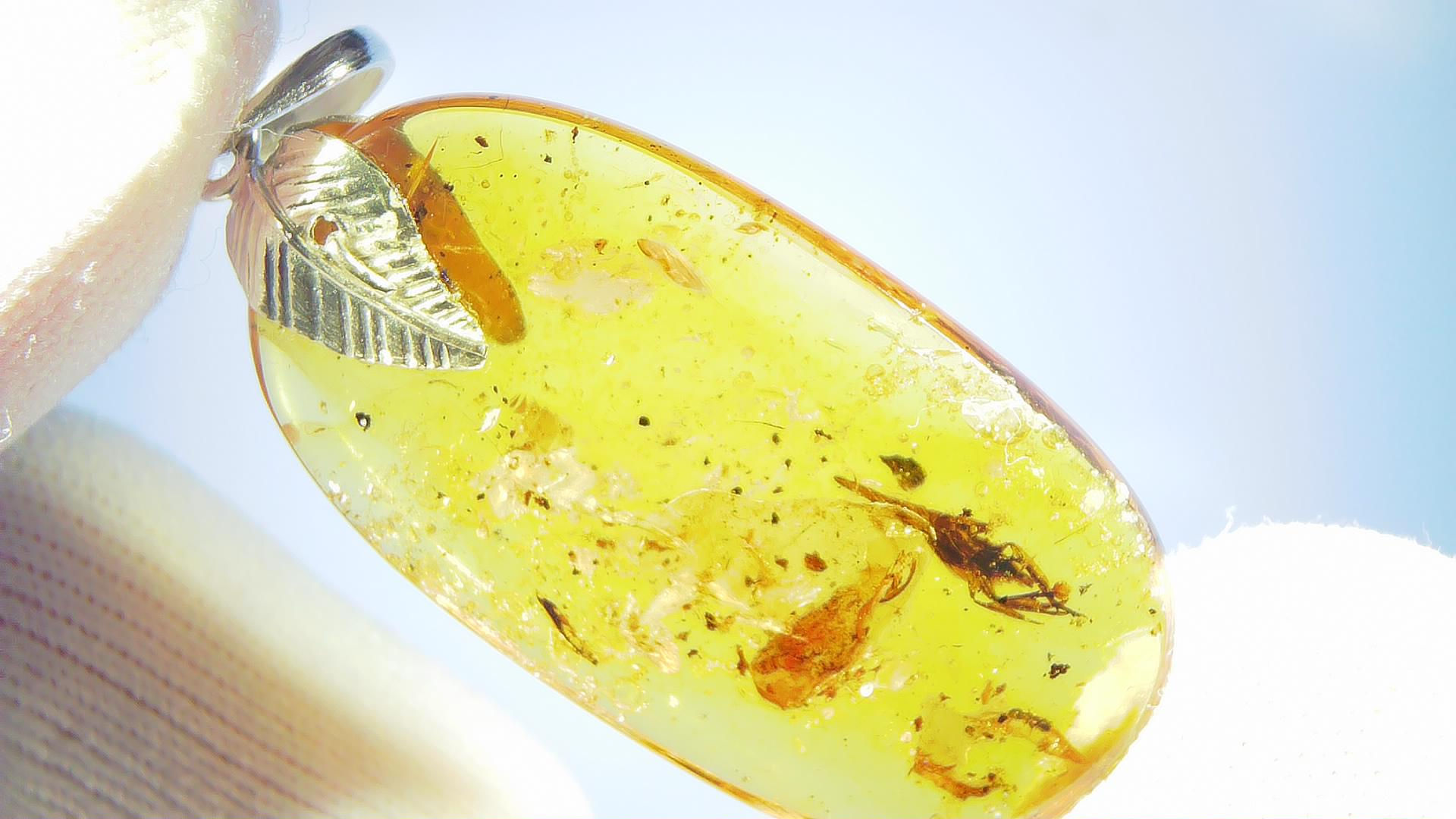 Amber Jewelry • .925 amber pendant with weevil • #51