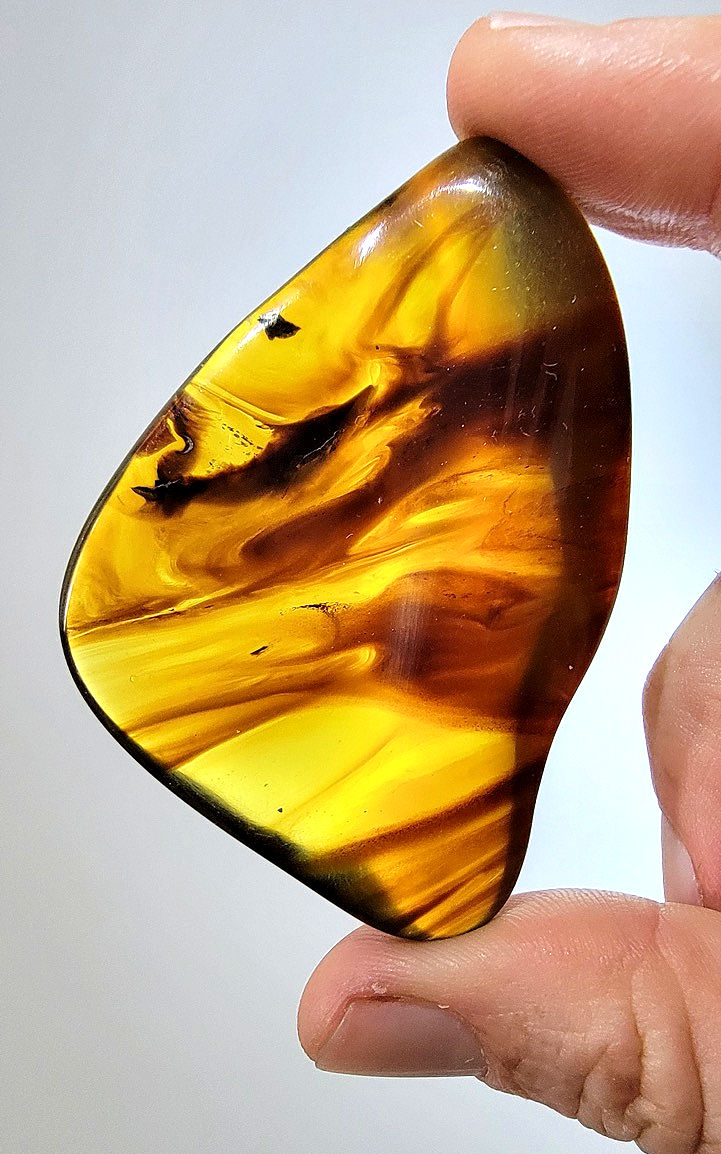 Burmese Amber with Swirls