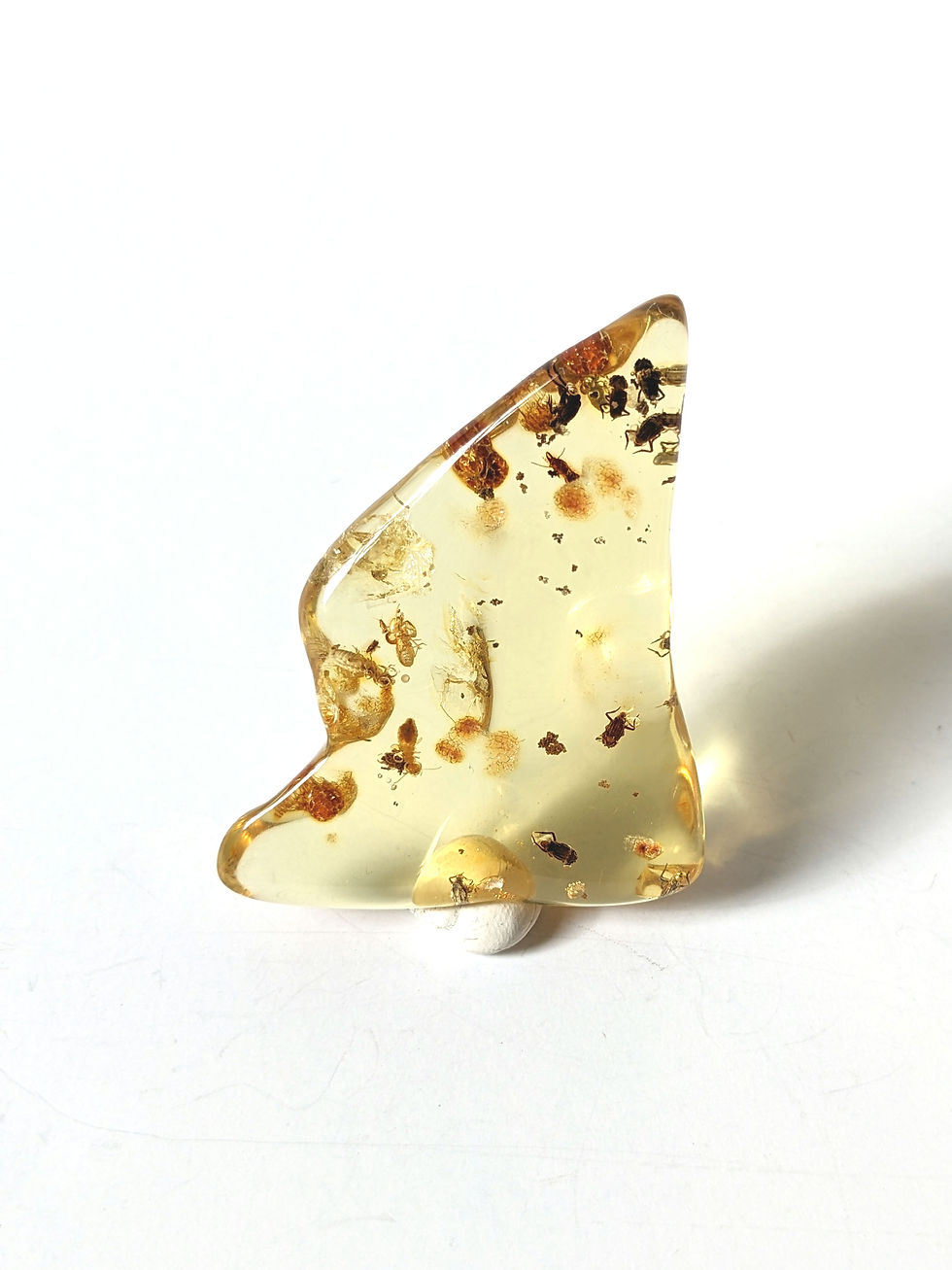 Thumbnail: Amber With Insects #129 • Termites And Beetles, Over 10 Clear Insects 