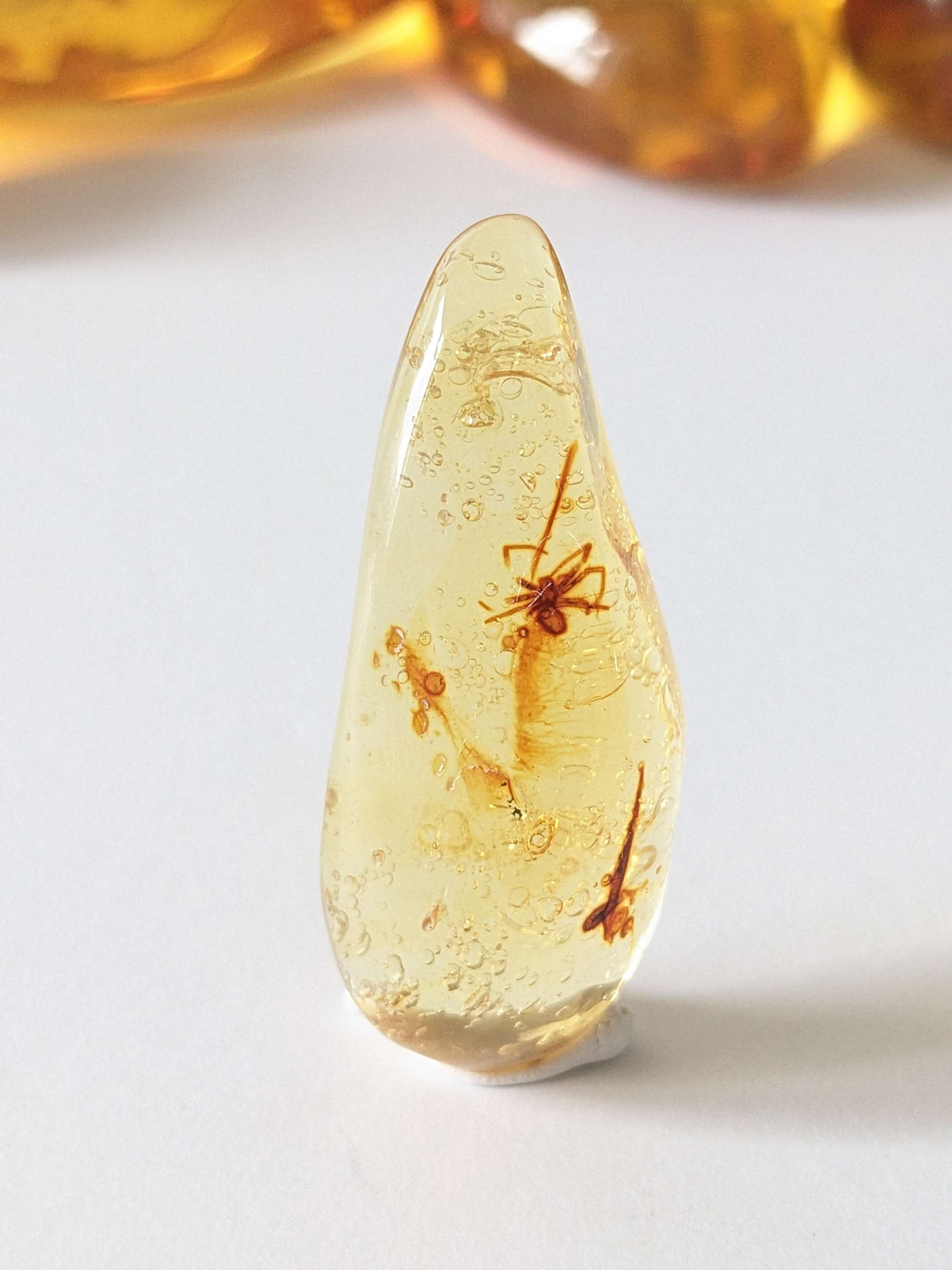 Amber With Insects #242 • Large Spider In Cabochon