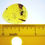 Thumbnail: Burmese Amber with spider inclusion next to a ruler