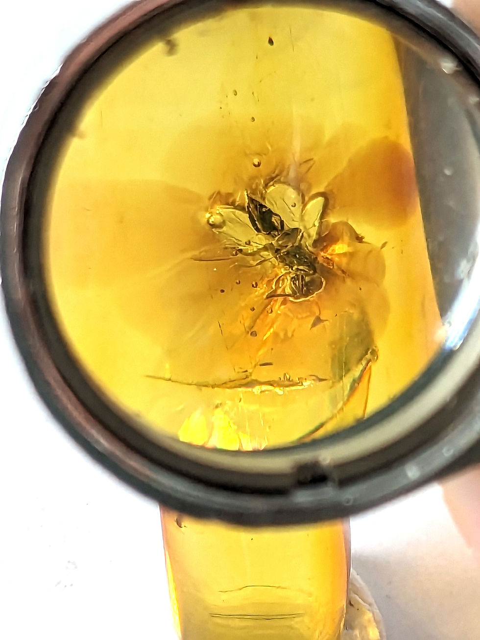 Thumbnail: Amber with Insects #411 • MUSEUM CLARITY BEE