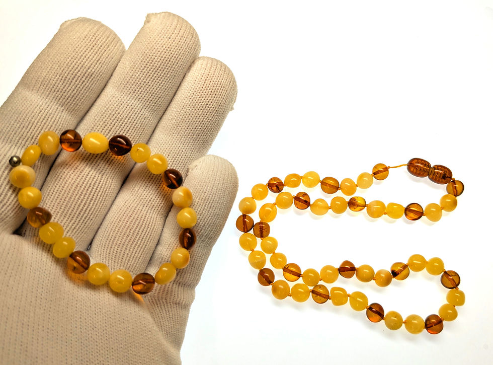 Thumbnail: Baltic Amber necklace and bracelet combo 14 inches displayed on a light board held in hand
