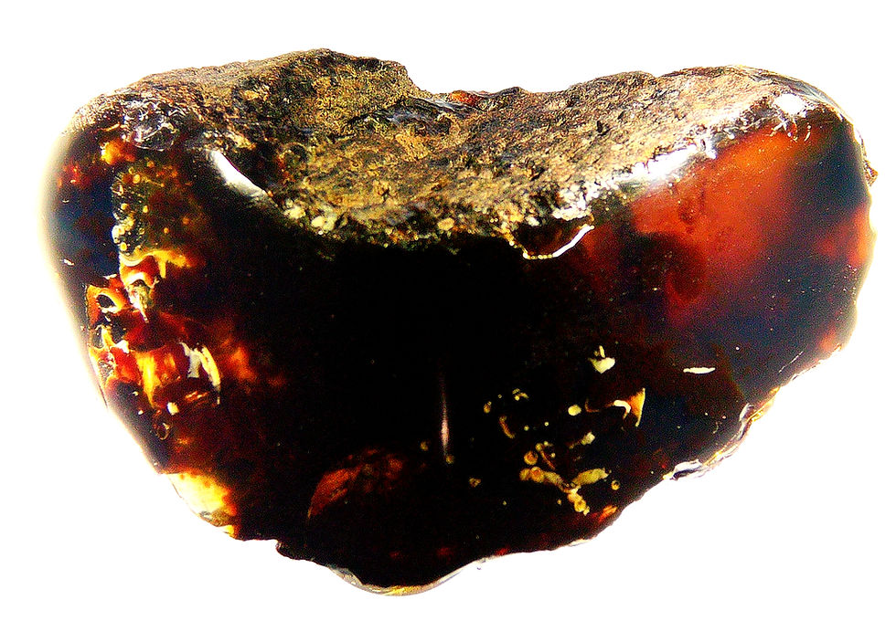 Indonesian blue amber displayed on a light board
