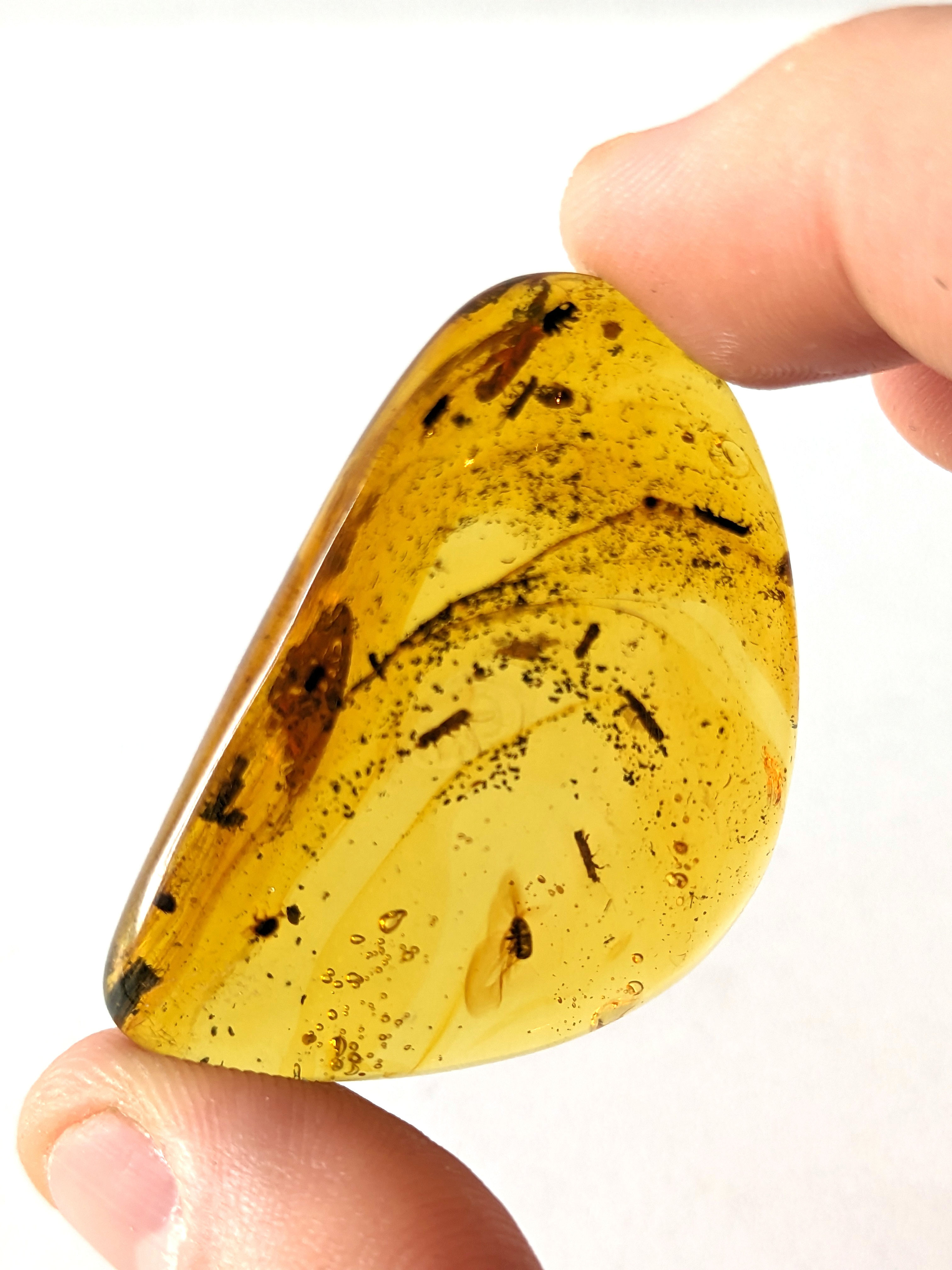 Amber with Insects #516 Swarm of Beetles.