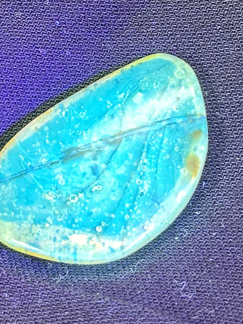 Thumbnail: Beetle in Dominican Amber with detritus on blue light