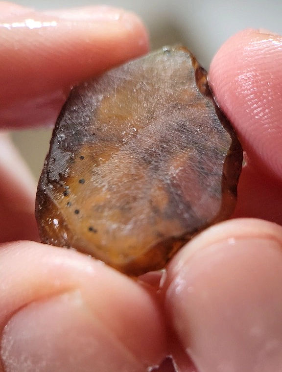 Results of 220 Grit Sandpaper on Amber - The amber is beginning to have a flat window. We can start to get a glimpse inside the amber.