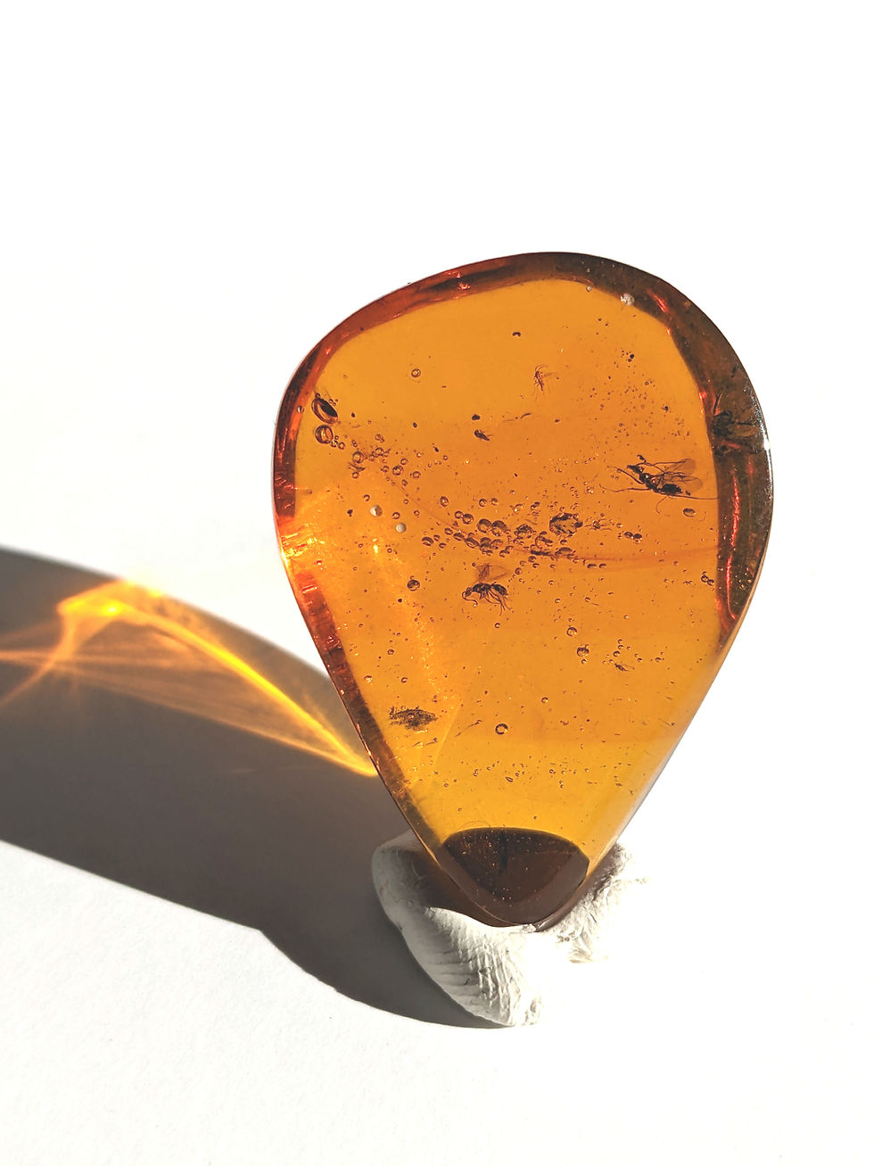 Thumbnail: Amber With Insects #160 - 2 Clear Wasps In Cabochon