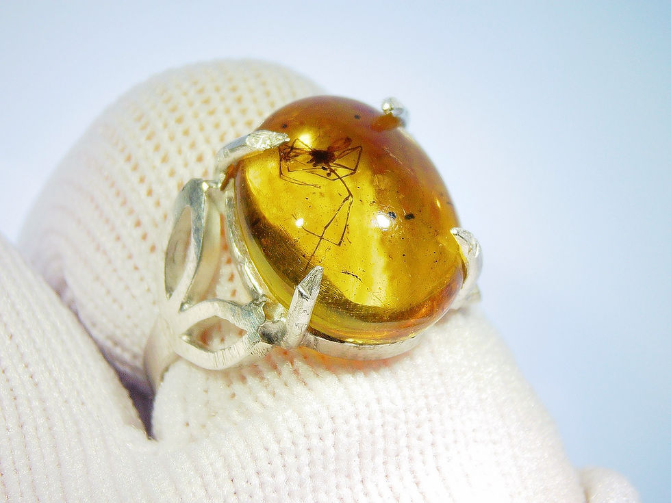Thumbnail: Burmese amber .925 silver ring wore in gloved hand