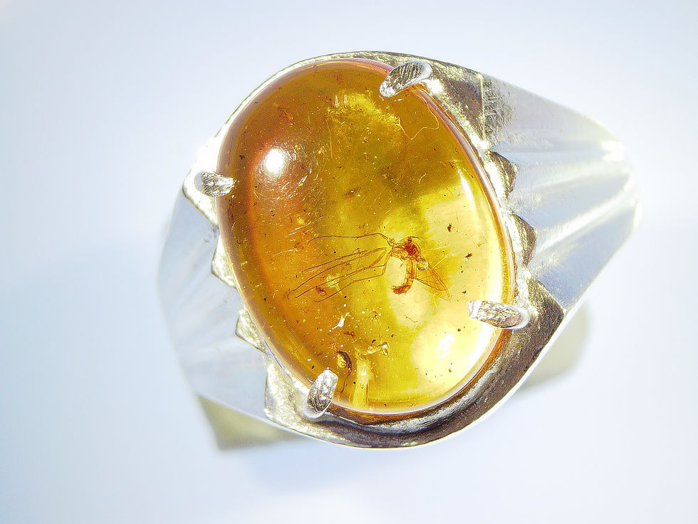 Thumbnail: Amber Jewelry • Size 13.25 Male • .925 ring with mosquito • #46