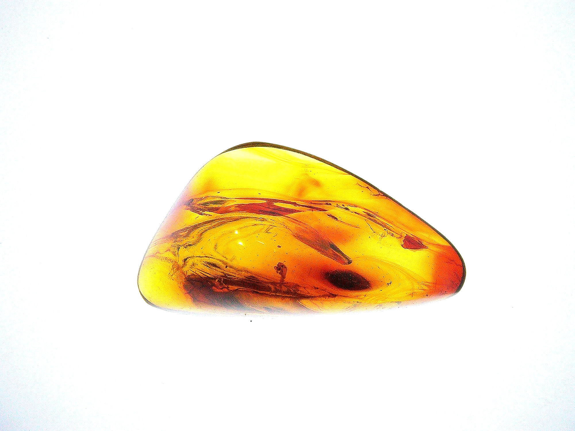 Dominican Amber with mosquito over light board