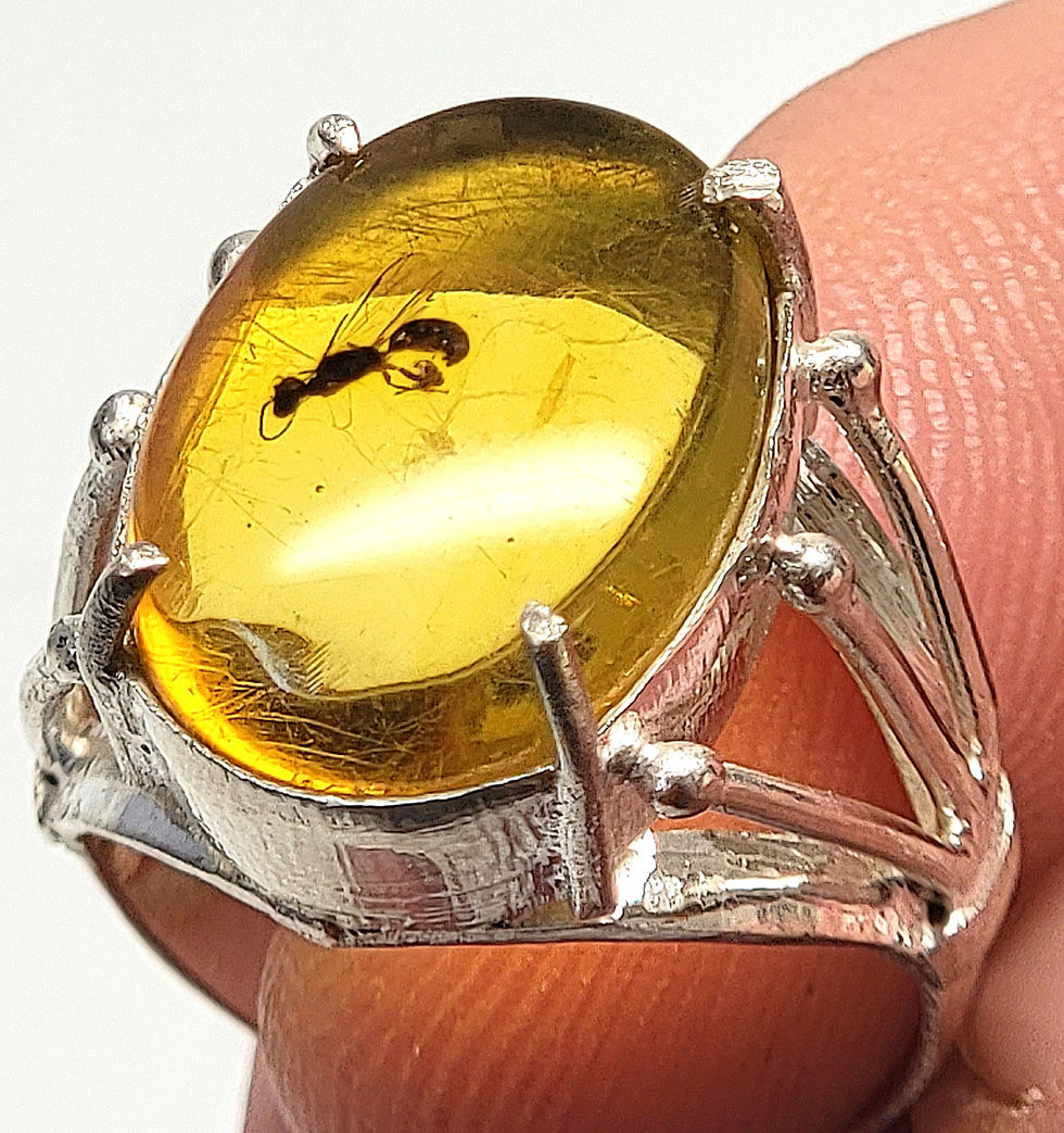 Thumbnail: Silver ring with Amber cabochon with insect inclusion held by two fingers