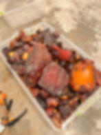 Bulk Of Raw Baltic Amber 