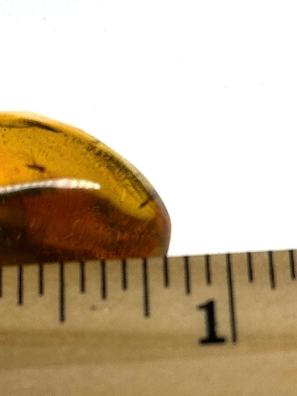 Thumbnail: Buy Amber with insects • #682 mosquitoes in Dominican Amber