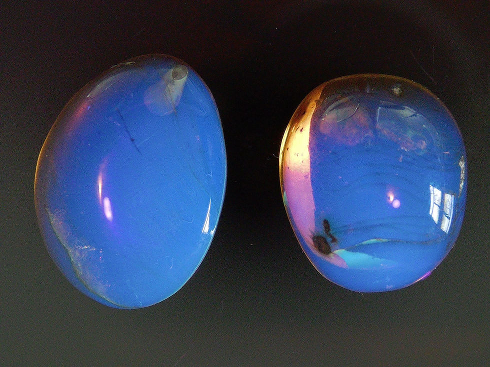 Thumbnail: 2 Burmese amber with fly and wasp under uv light