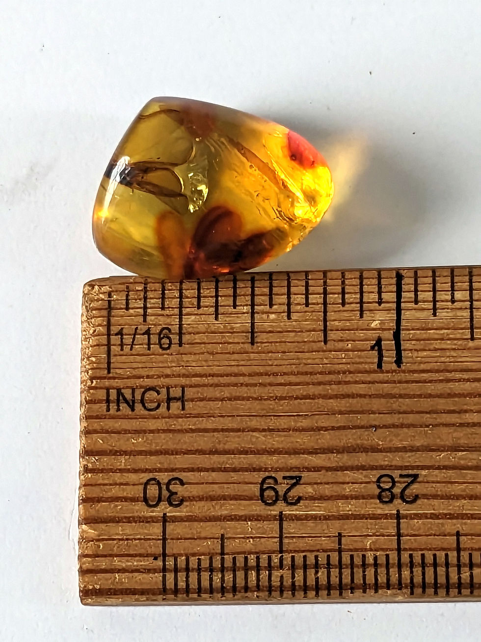 Thumbnail: Amber with Insects #423 • 1/2 Termite and More