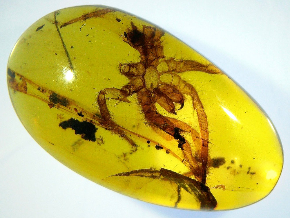 Best Of The Month February 2026!