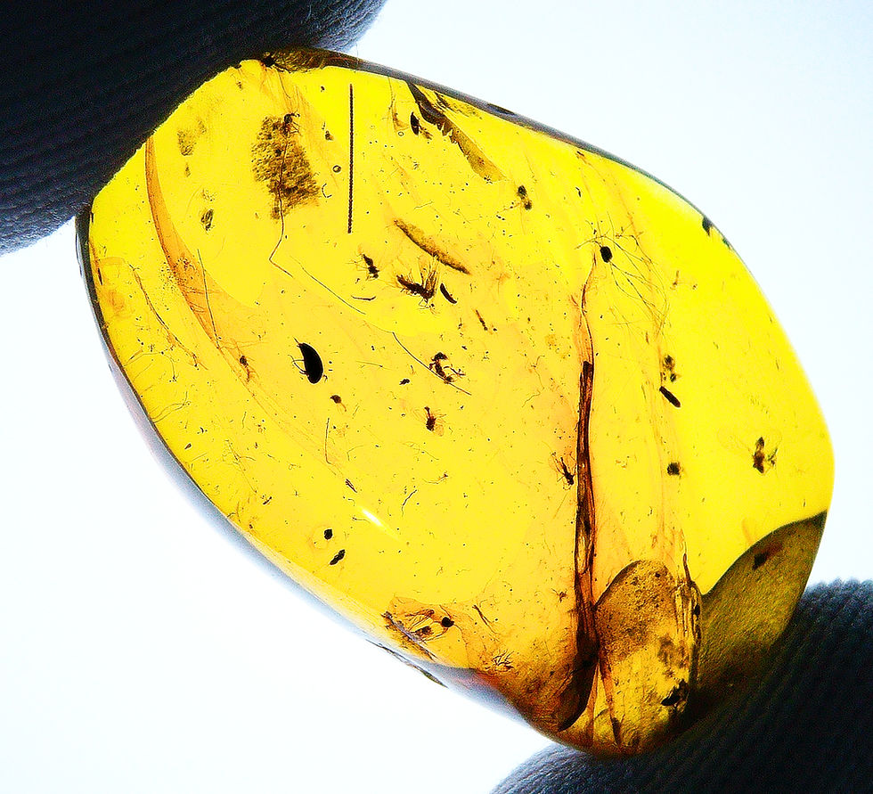 Thumbnail: Burmese Amber with swarm of mosquitoes inclusion held between two fingers