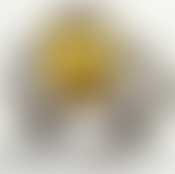 Best of July 2025! subscriber-only newsletter