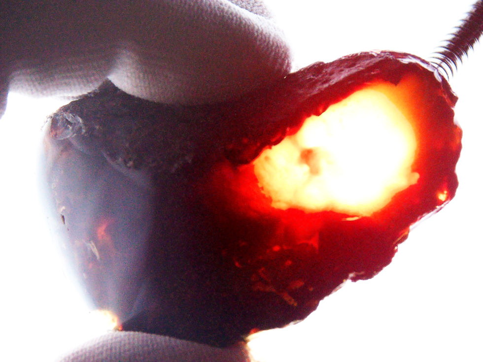 Thumbnail: Indonesian blue amber held between two fingers