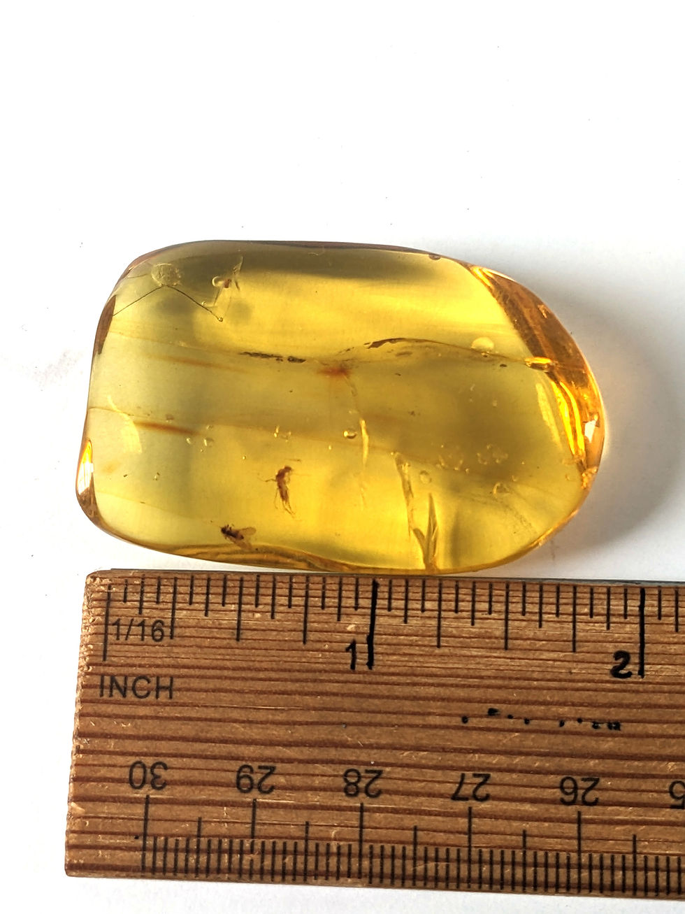 Thumbnail: Amber With Insects #345 • Very Clear Flies