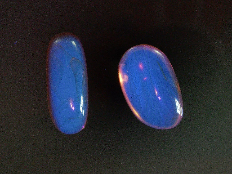 Thumbnail: Burmese amber with beetle and midges under uv light