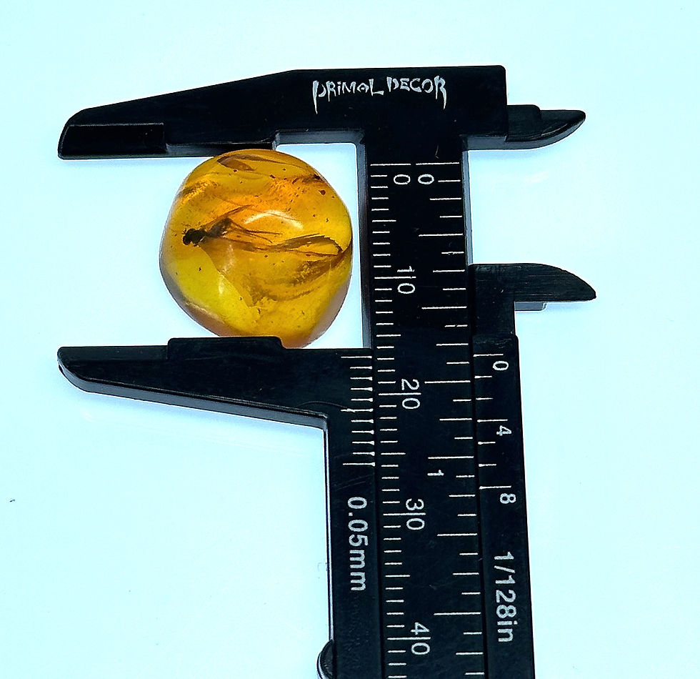 Thumbnail: Amber with insects #694 • Dominican Amber with fly inclusion 