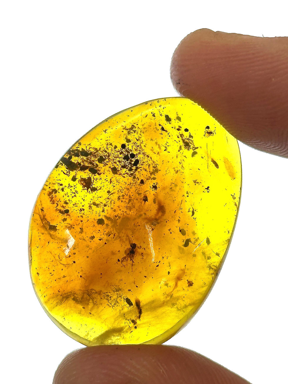 Thumbnail: Fly in Dominican Amber held by two fingers