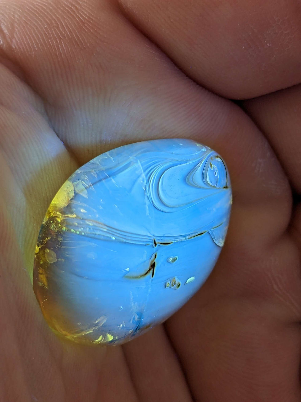 Thumbnail: Amber With Insects #370 • Wasp, Two Toned Amber.