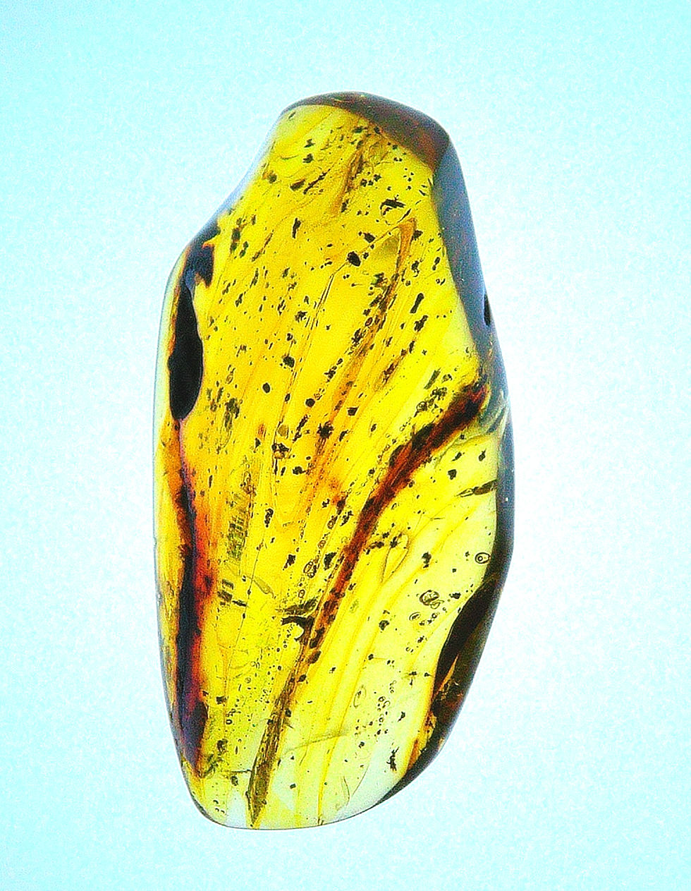 Dominican amber with flow lines galore under a light board