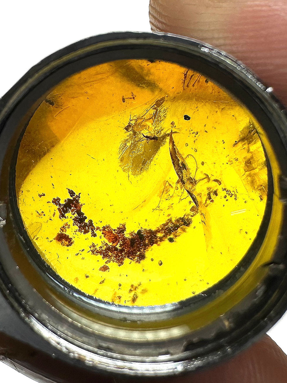 Thumbnail: Buy amber with insects • #656 Fly and detritus trapped in Dominican Amber.