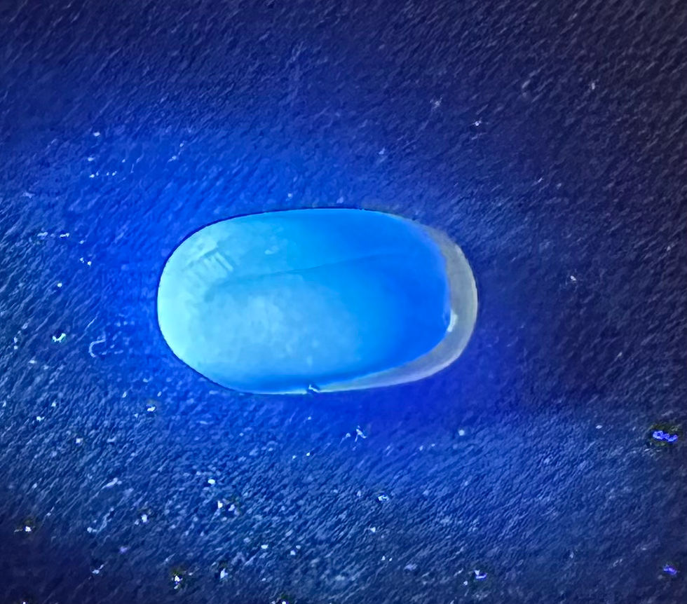 Thumbnail: Burmese amber with moth under uv light