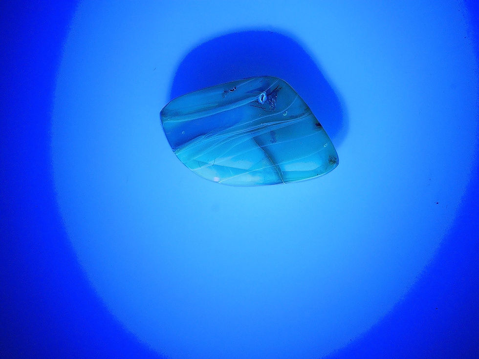 Thumbnail: Dominican amber with wasp under uv light