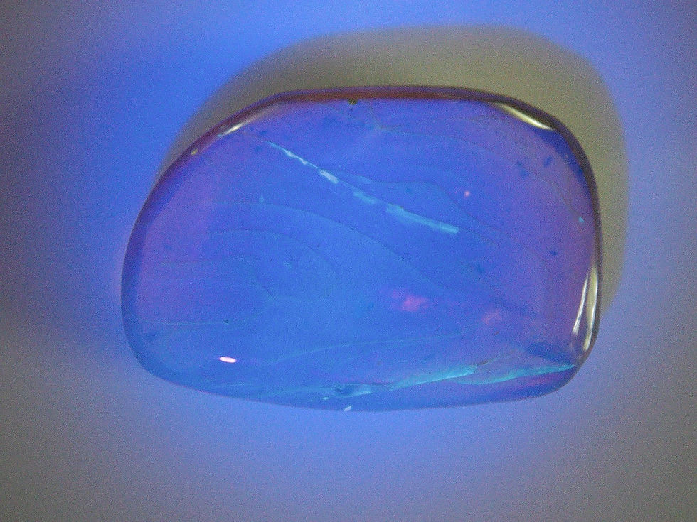 Thumbnail: Burmese amber with ant under uv light