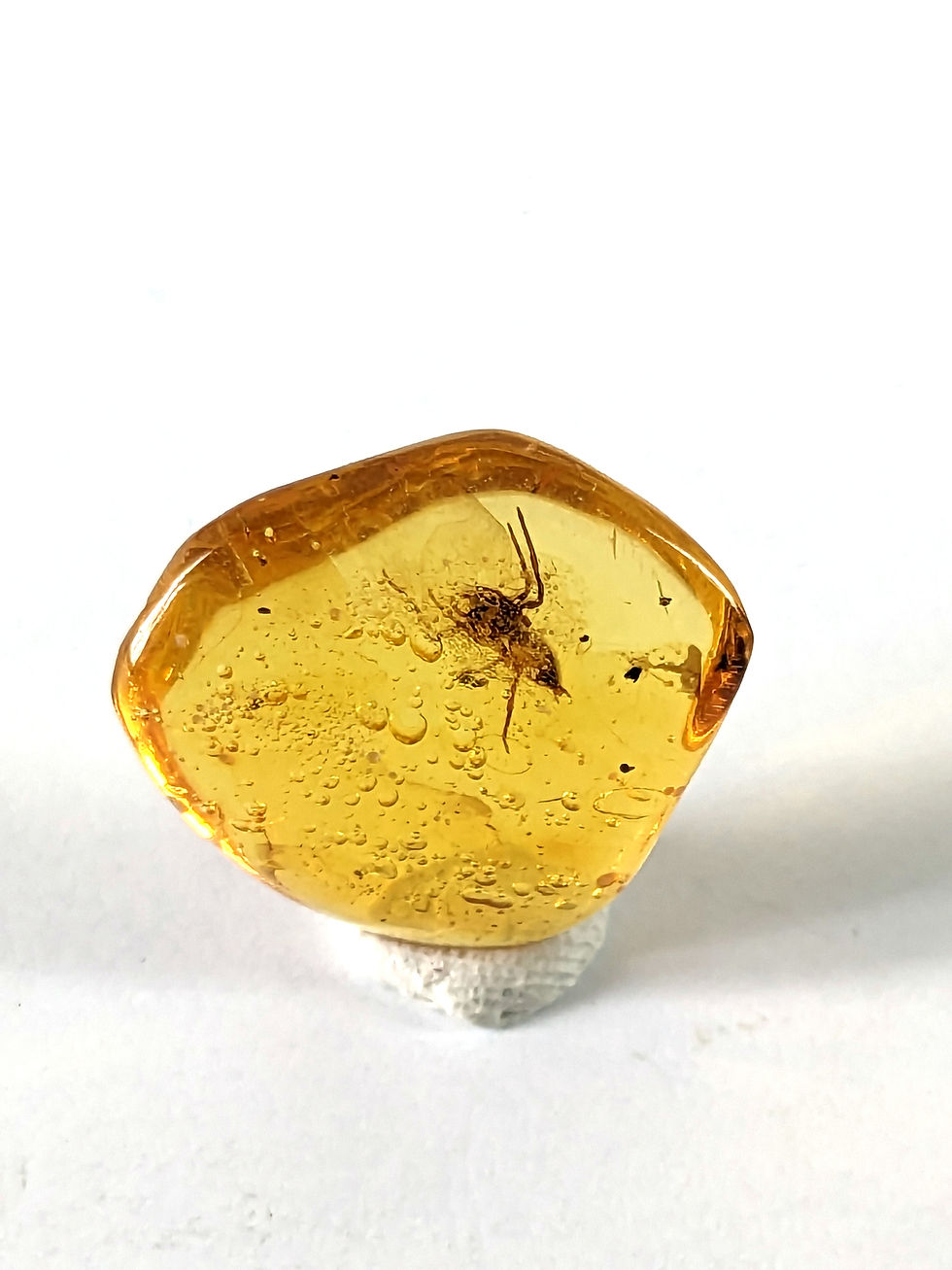 Thumbnail: Amber with Insects #472 • Museum Grade Spider and Enhydros 