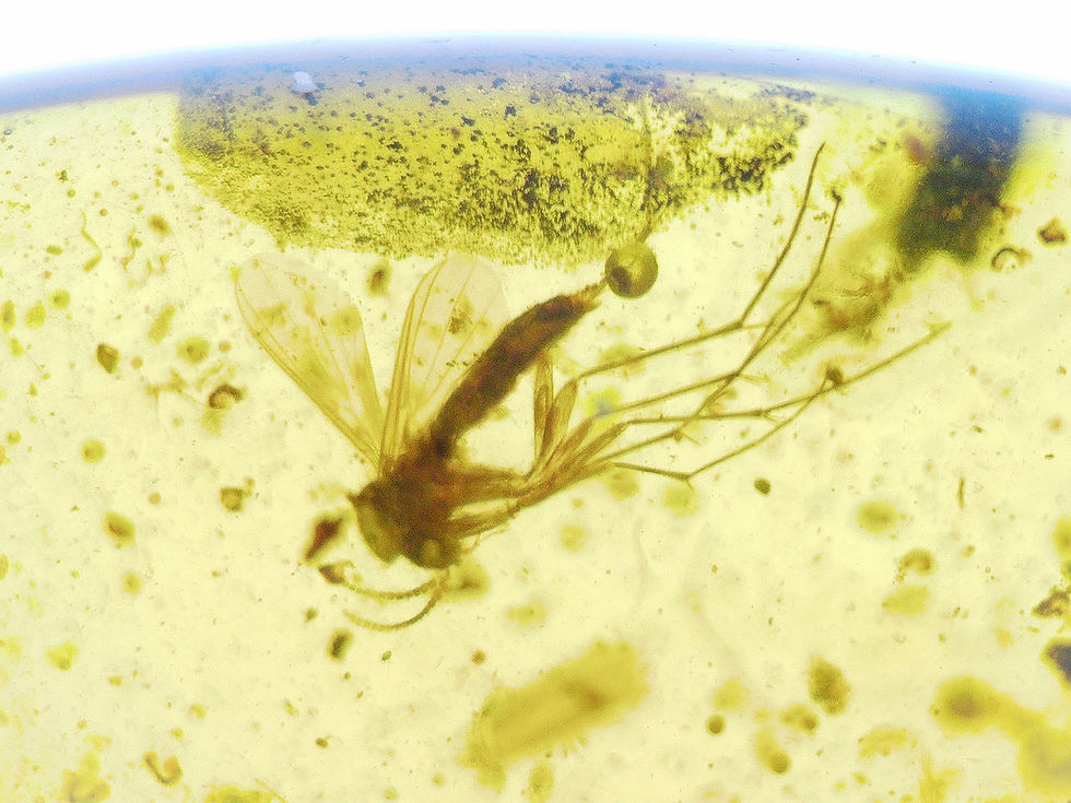 Thumbnail: Amber Jewelry • .925 amber pendant with swarm of mosquitoes • #48