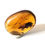 Thumbnail: Amber with Insects #546 Moth