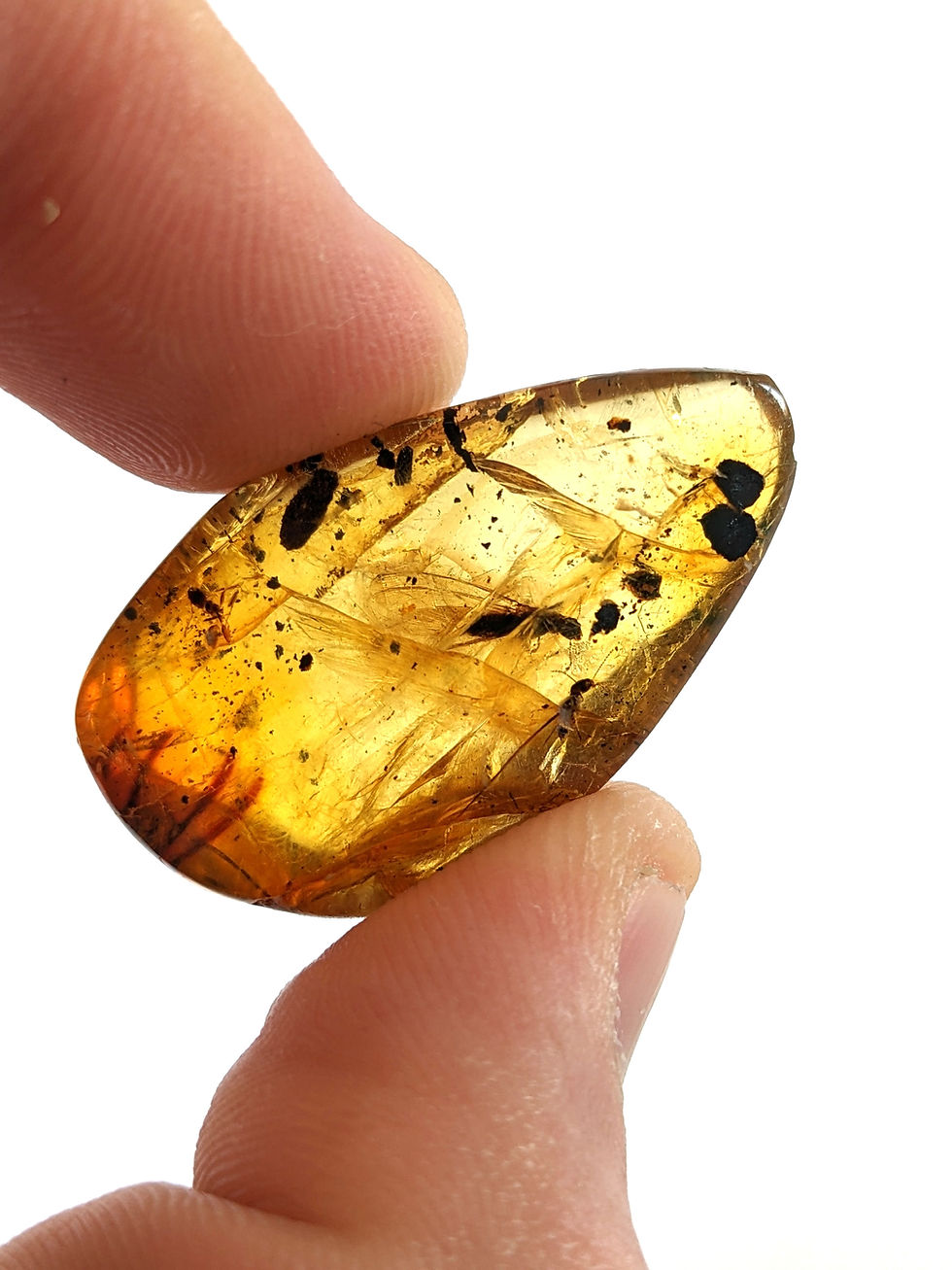 Amber With Insects #386 • Termite