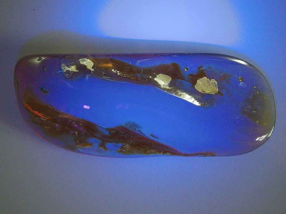 Thumbnail: Burmese amber with fly under uv light