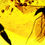 Thumbnail: Burmese Amber with mosquito inclusion under a microscope