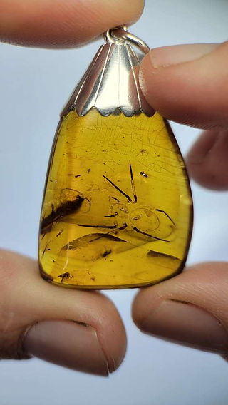 Spider in Burmese amber pendant